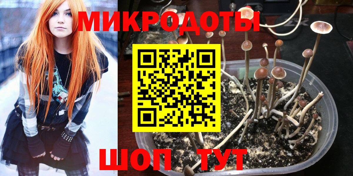 Псилоцибиновые грибы ЛСД Реутов