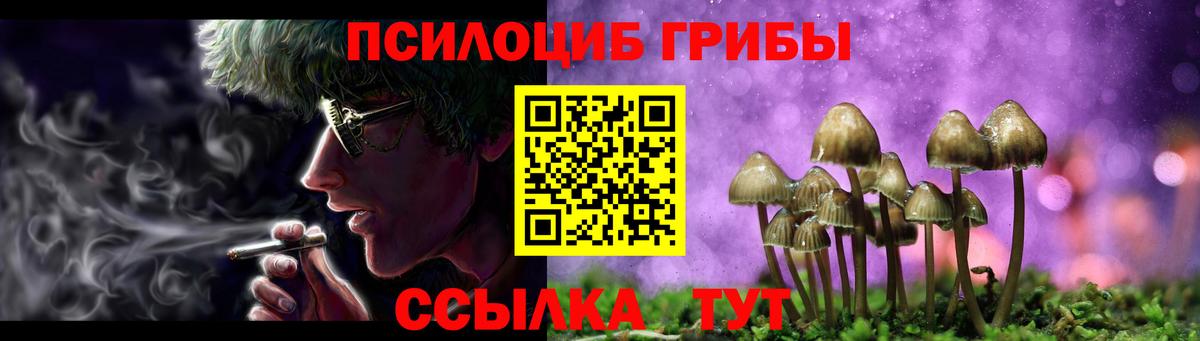 Галлюциногенные грибы Psilocybe  Вход с VPN  Реутов  Псилоцибиновые грибы MAGIC MUSHROOMS 