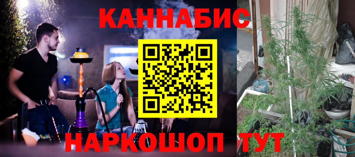 Шишки марихуана сатива  Вход с VPN  Каннабис план  Реутов  Шишки марихуана Amnesia 
